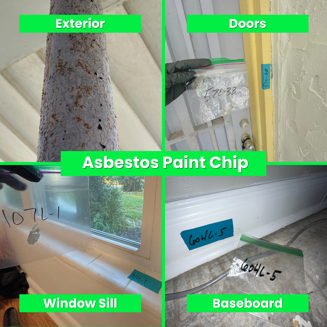 DIY Lead Test Kit | Paint Chip