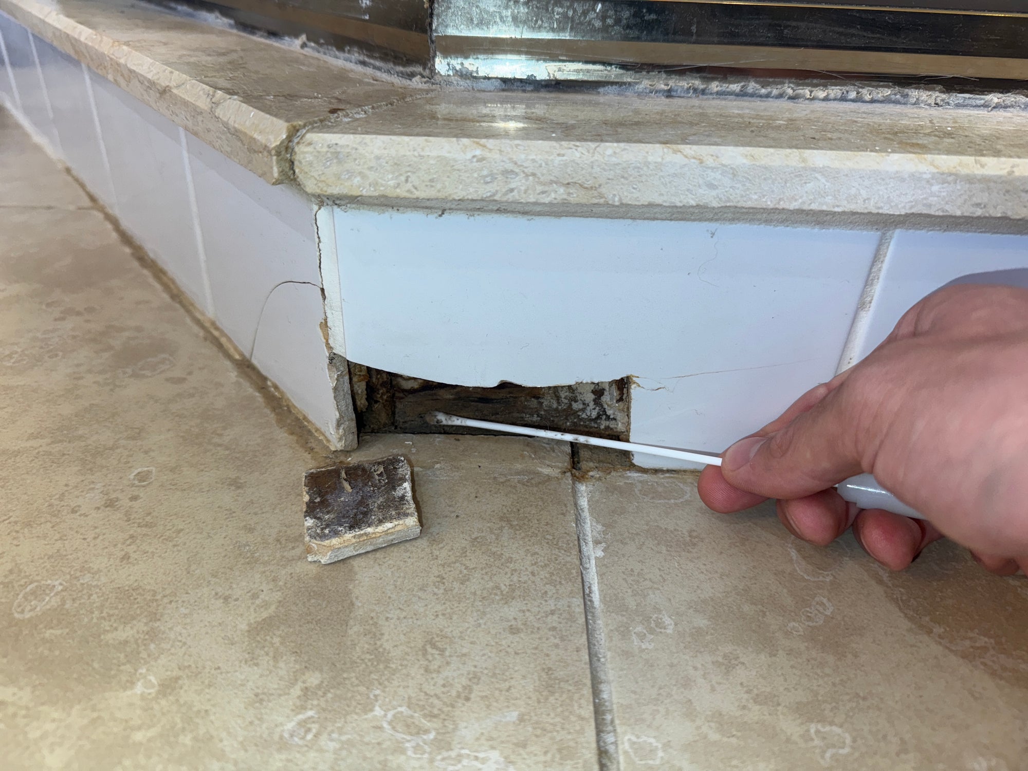 DIY Mold Test Kit | Swab