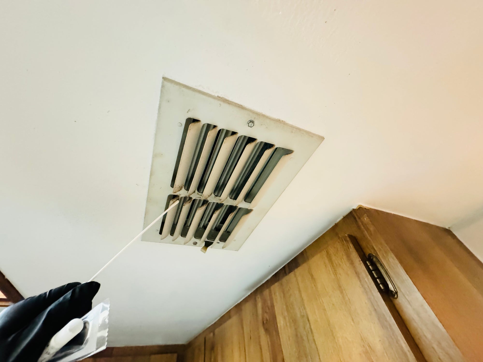 DIY Mold Test Kit | Swab