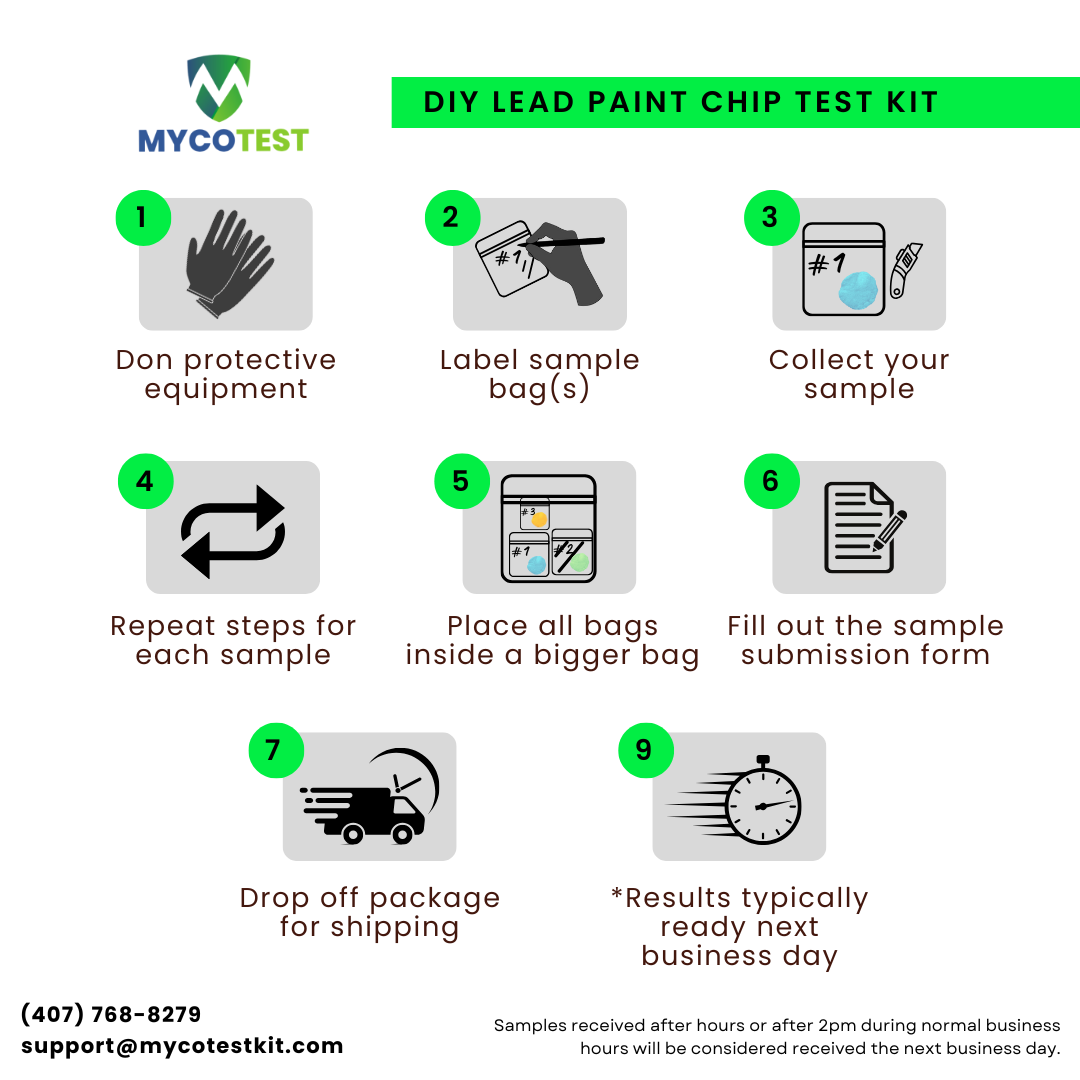 DIY Lead Test Kit | Paint Chip