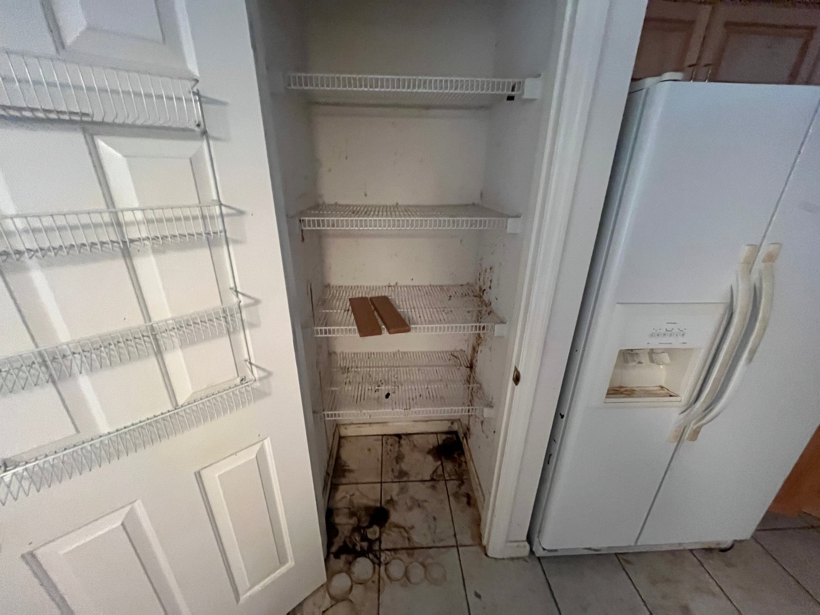 Mold — RestoPros of New Orleans Reveals How to Find Hidden Mold Growth in Homes - Montgomery Advertiser