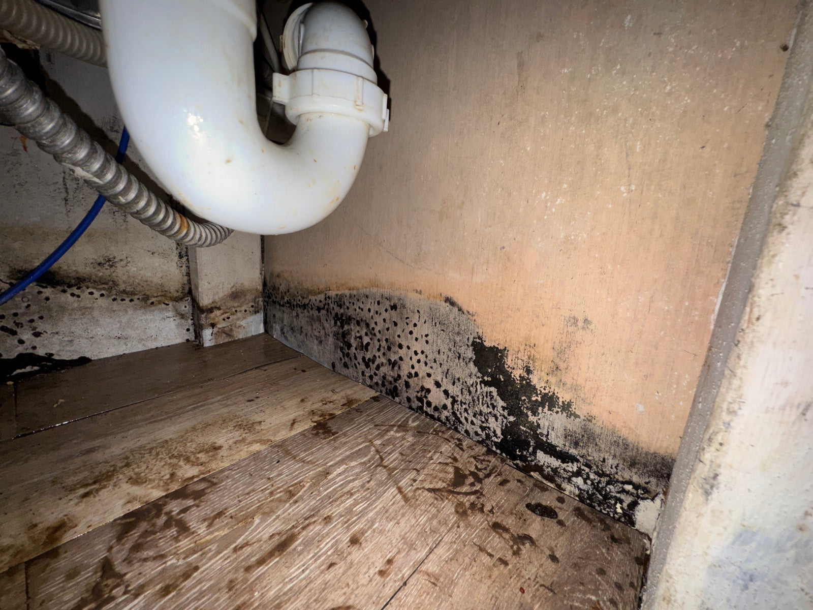 Mold — Storm damage leaves Springdale home for teen mothers in urgent need of repairs - KHBS