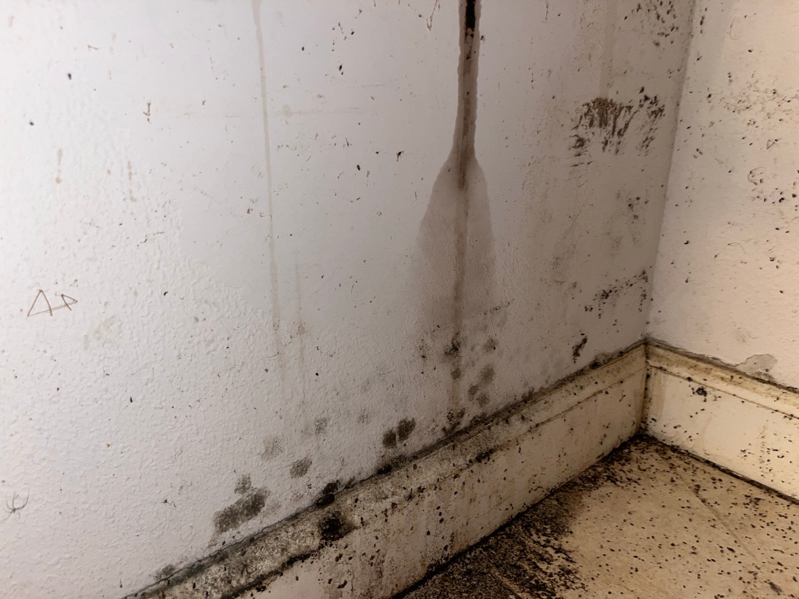 Mold — Family says $9.5M Overland Park house is 'uninhabitable' due to mold, blames homebuilder - KSHB 41 Kansas City