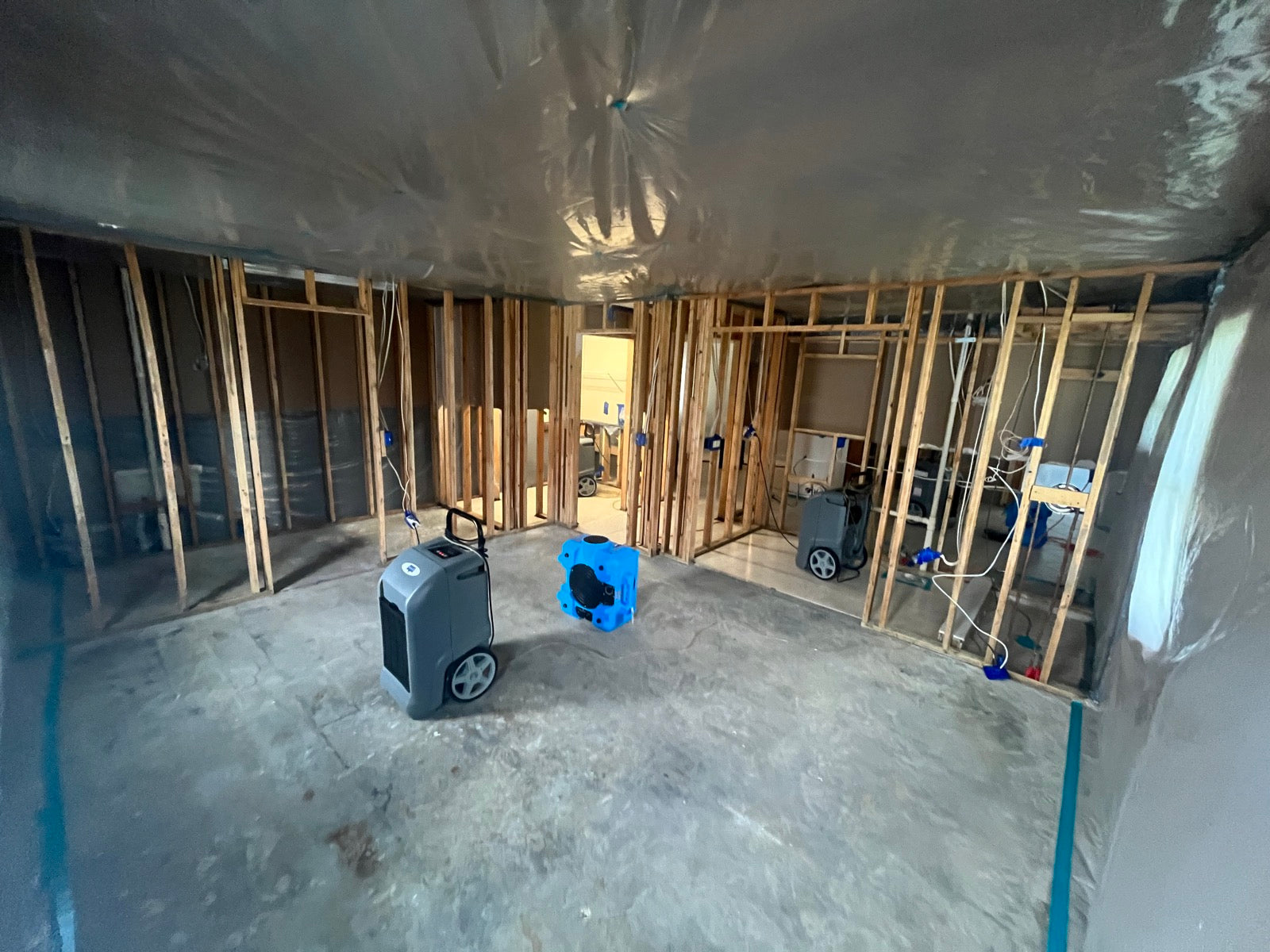Remediation Overview — Water Damage Restoration of Round Rock Shares How Mold Remediation Helps Protect Homes in Round R