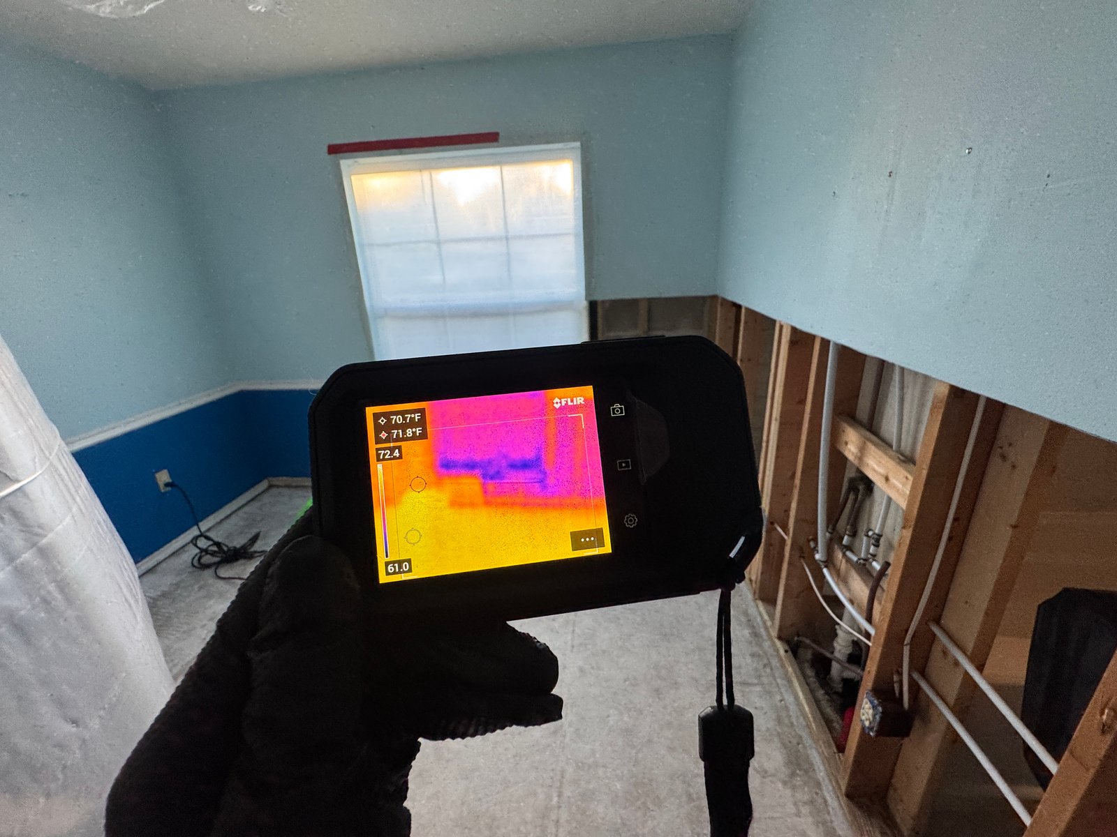 Thermal Imaging — How long after a water leak does mold start to grow?