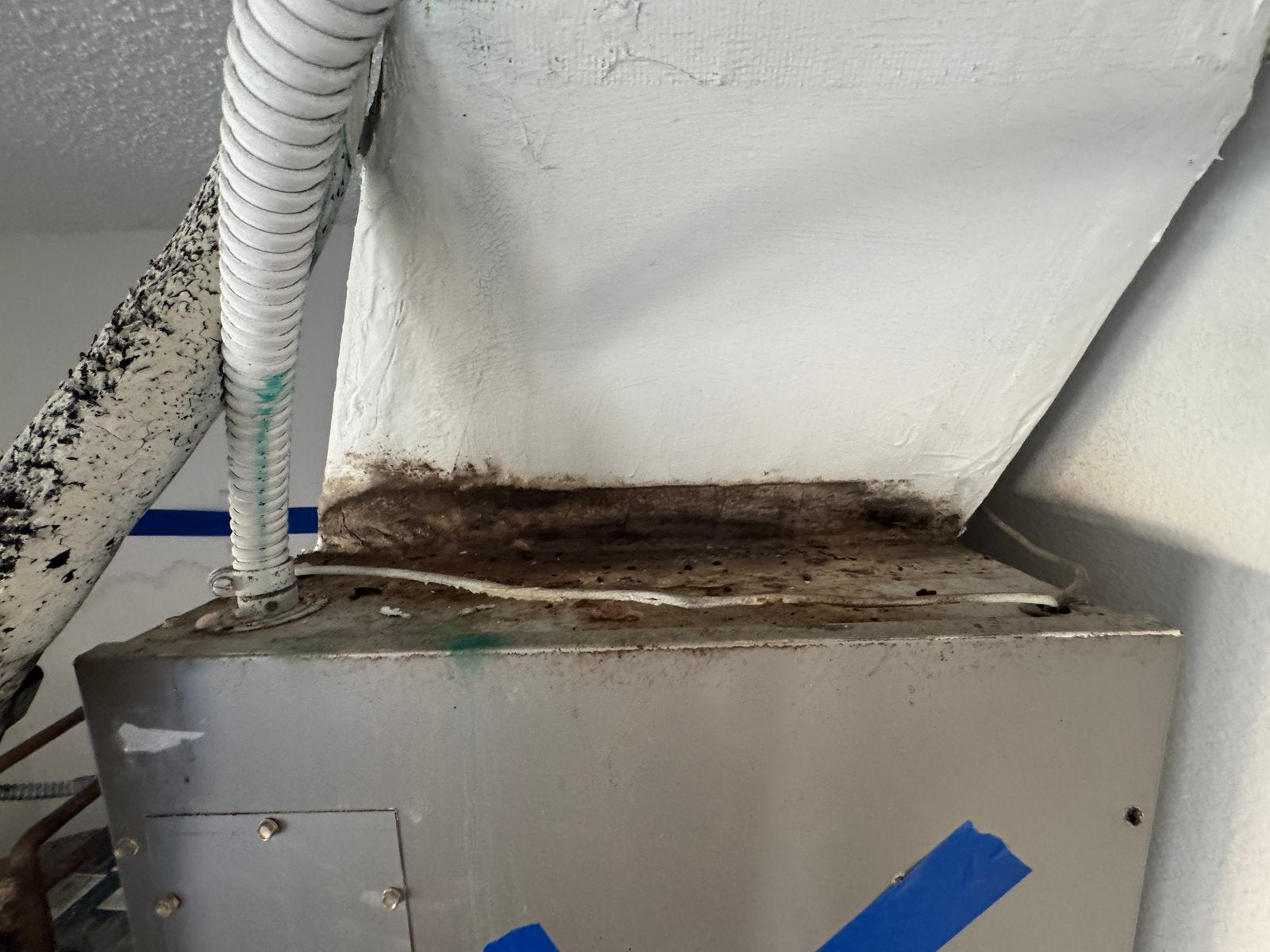 Mold — Ascension Parish couple battles mold, water damage following new home setup - WBRZ