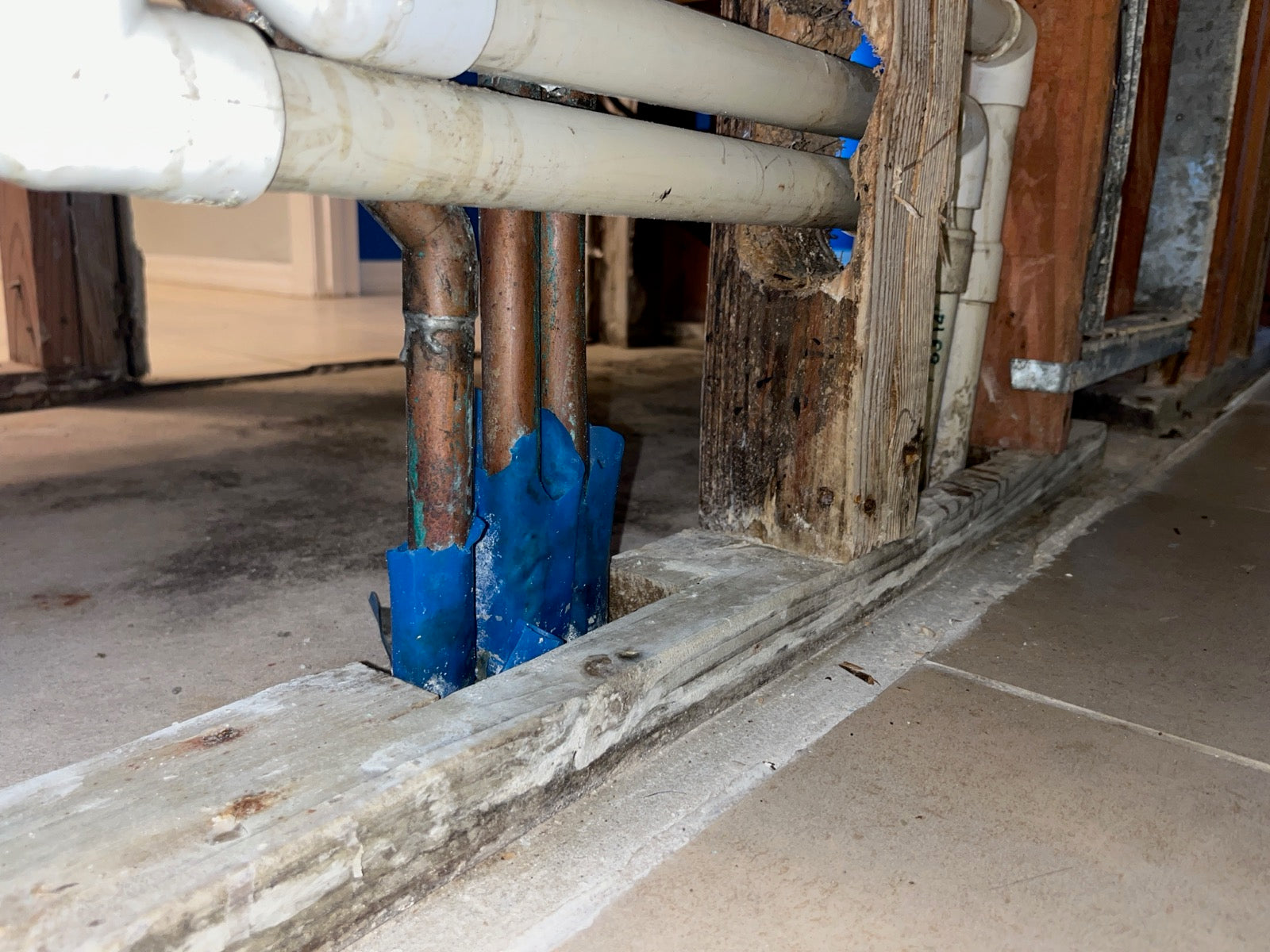 Mold — Attic mold: why it happens and how to check for it