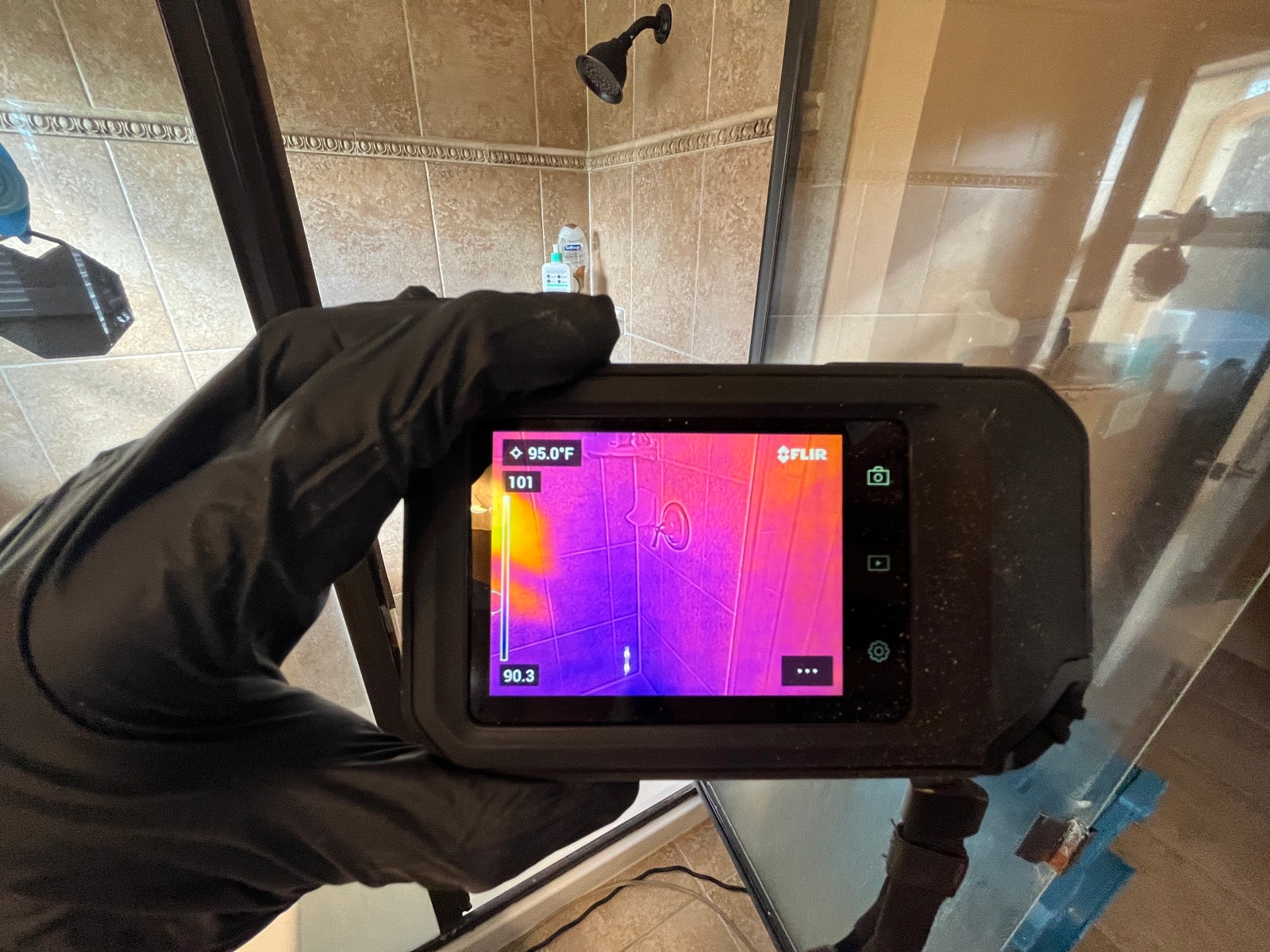 Thermal Imaging — How long after a water leak does mold start to grow?