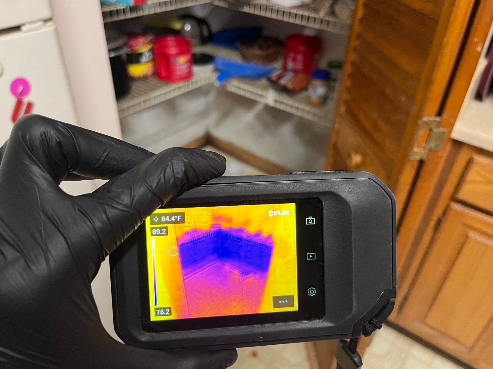 Thermal Imaging — Basement flooding: what to do before mold sets in