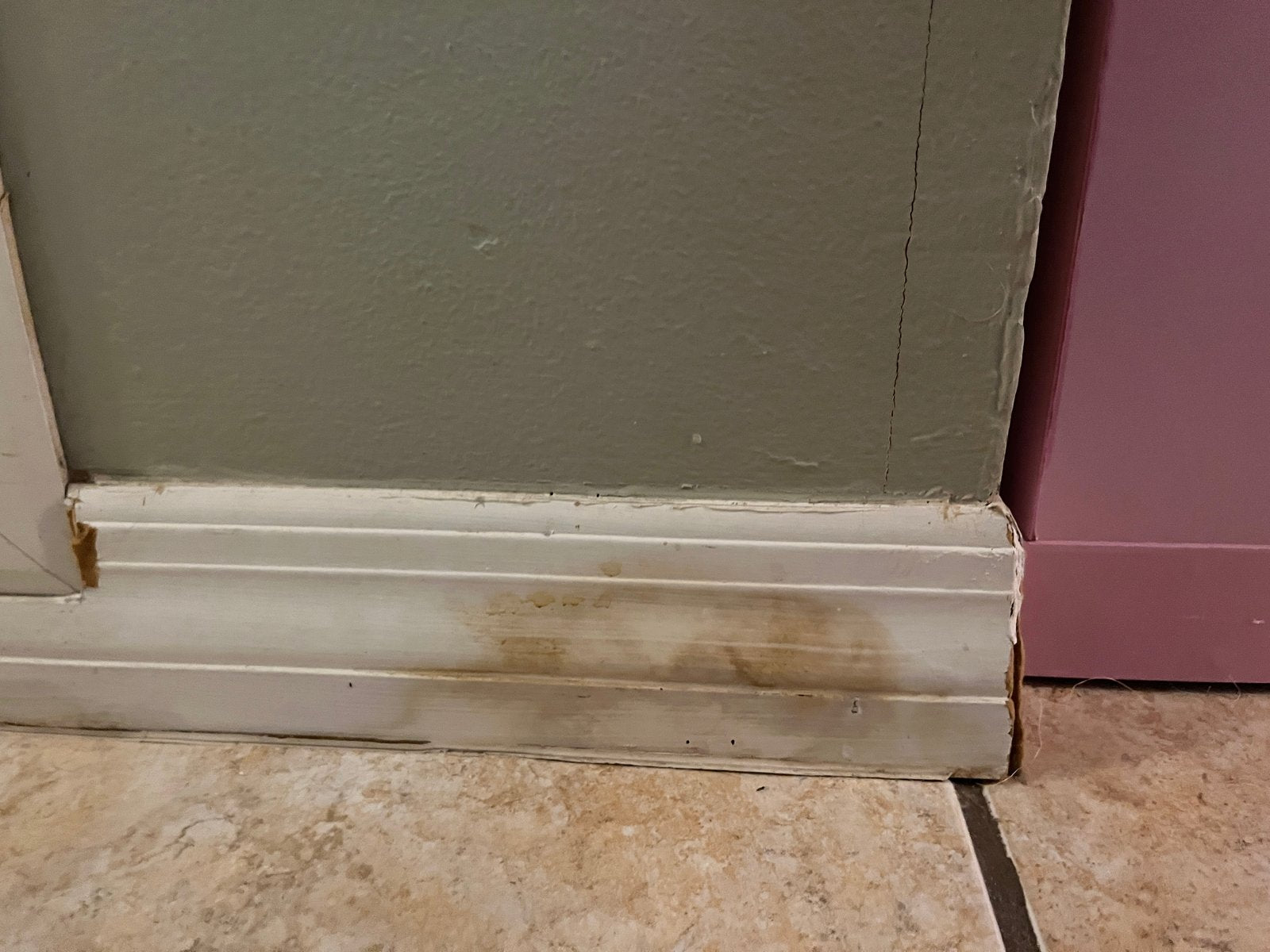 Mold — Family says $9.5M Overland Park house is 'uninhabitable' due to mold, blames homebuilder - KSHB 41 Kansas City