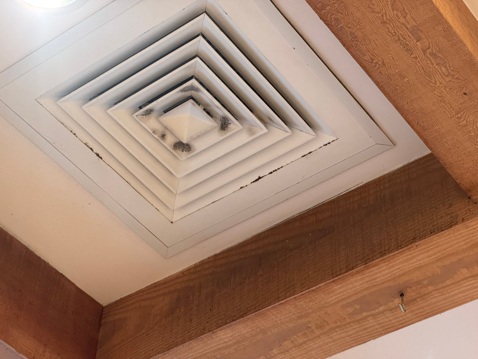 Mold — New homeowner finds cracked water heater, mold in walls, and no plumber until Monday - The Cool Down