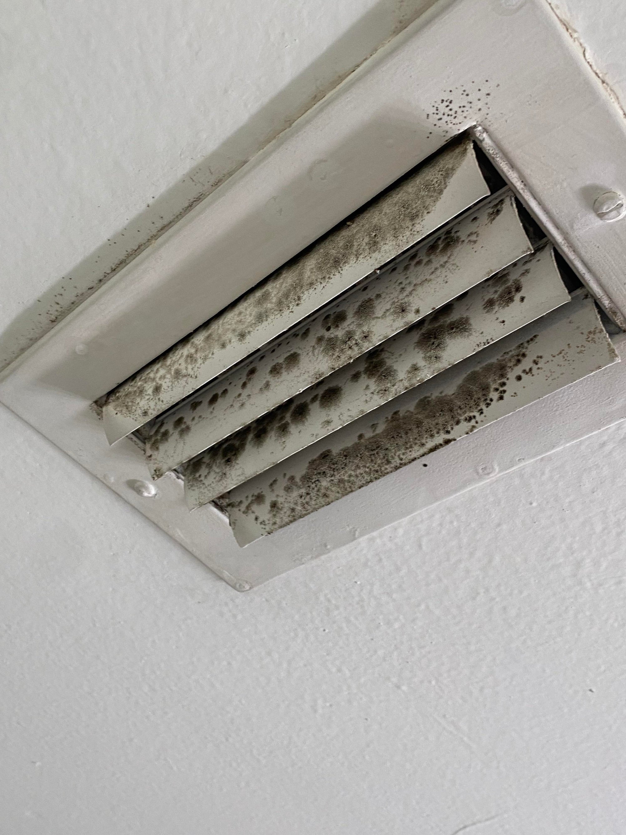 How to Detect and Prevent Mold in Your HVAC System and Vents