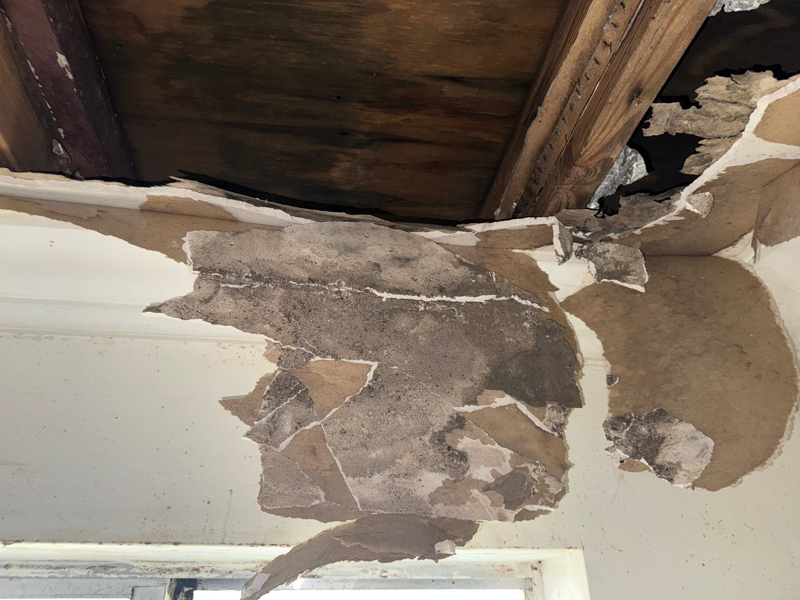 Mold — NorthEast Mold Experts Launches Mold Inspection, Testing, - openPR.com
