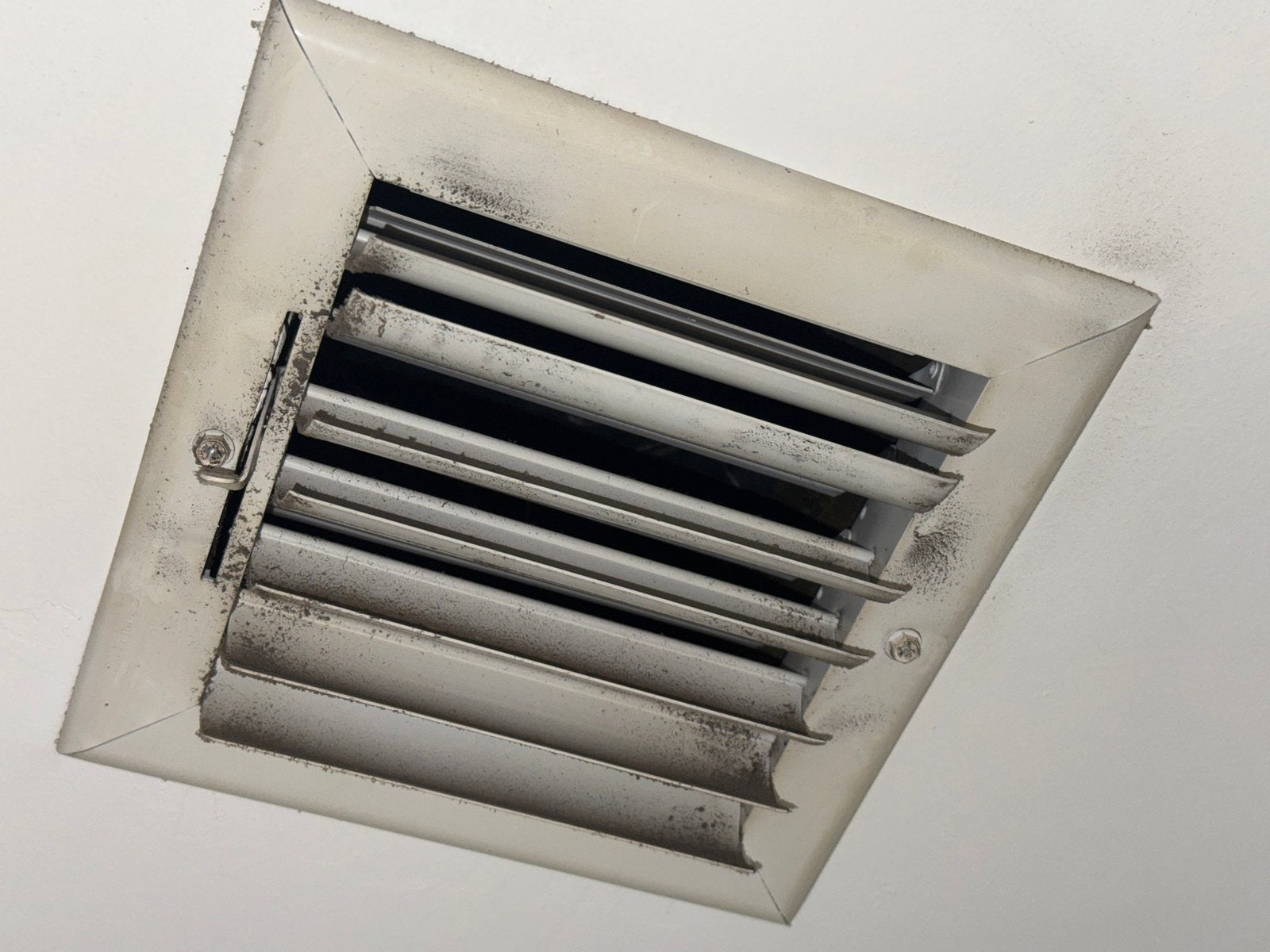 Mold — Invasive mold infections may pose hidden health threat, US study warns - Daijiworld