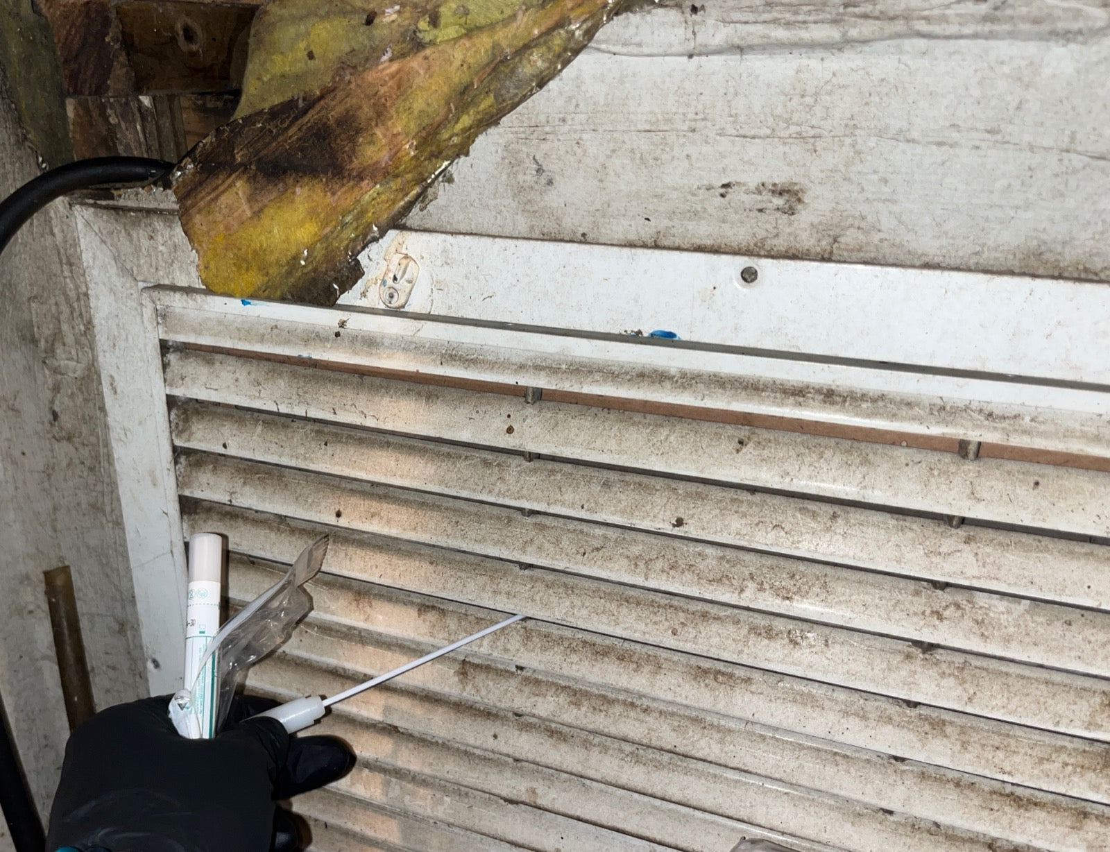 Mold Sampling — How to test for mold in your home the right way
