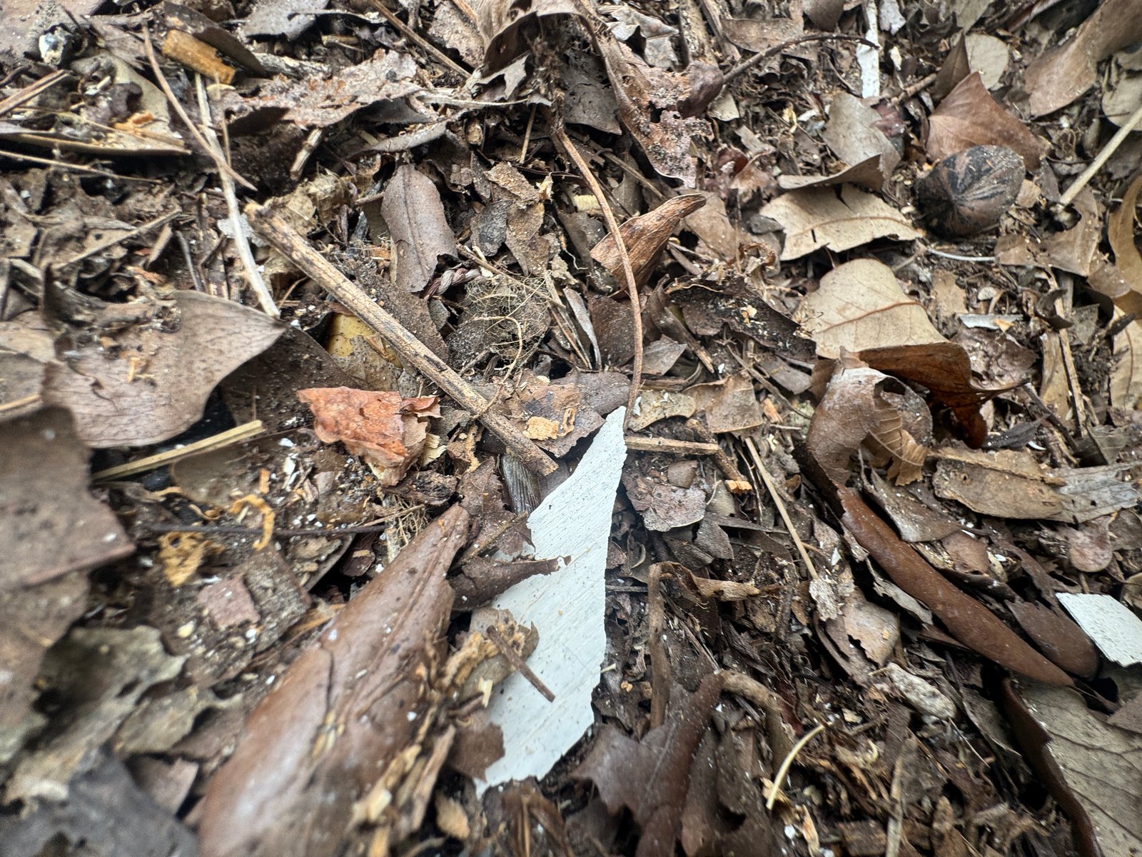 Lead Paint in Soil — Lead in your soil: how it gets there and how to test for it