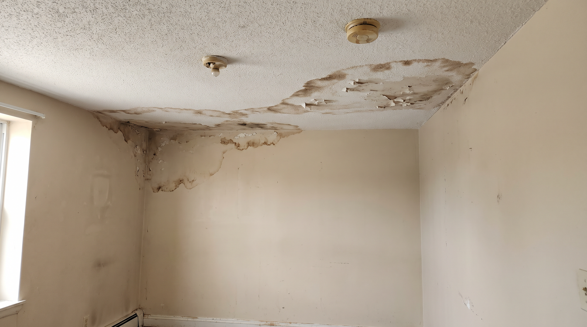 A water-stained interior ceiling and wall of a home showing brown moisture damage rings and peeling paint