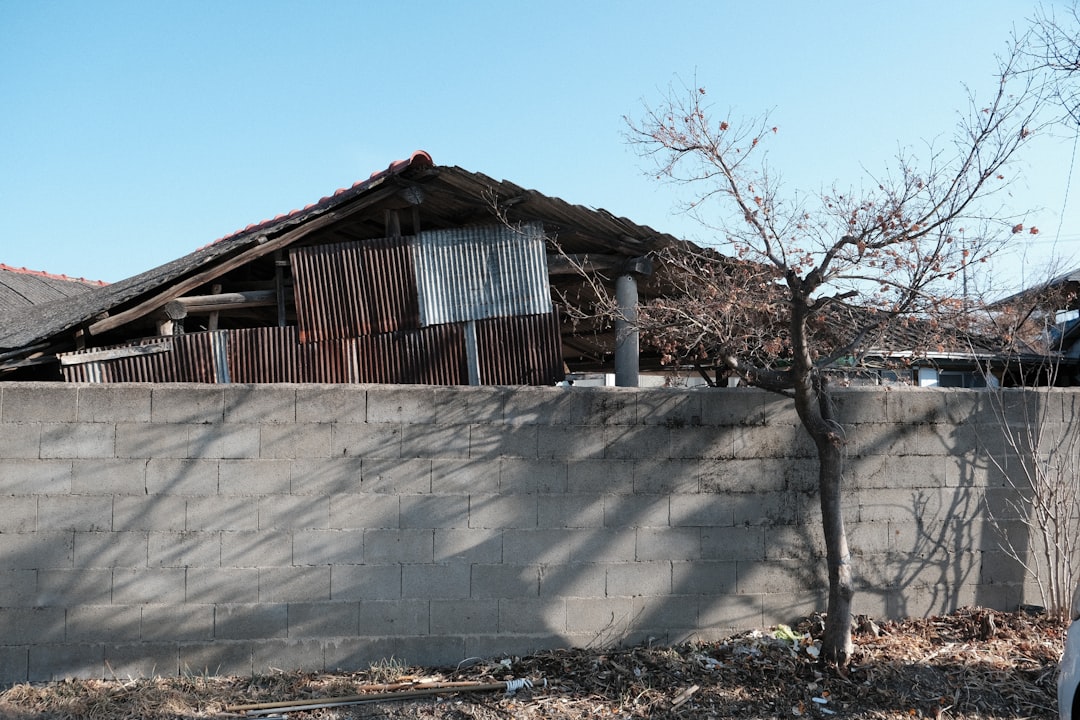 Dilapidated wooden building behind a concrete wall