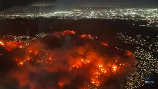 Understanding the Impact of California Wildfires: DIY Fire and Smoke Damage Test Kit