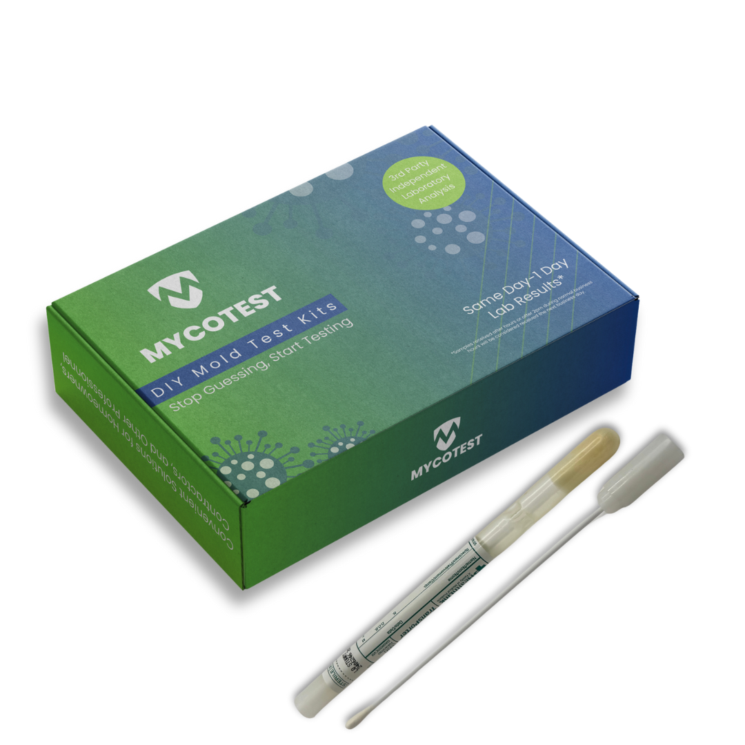 DIY Mold Test Kit – Swab Method for Fast & Accurate Results | MyCoTest