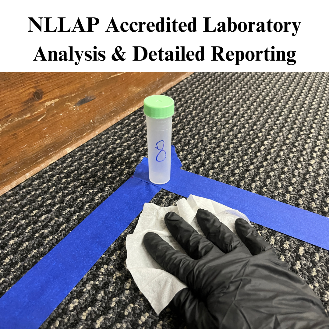 DIY Lead Dust Wipe Test Kit | 1 Sample Collection – MycoTest